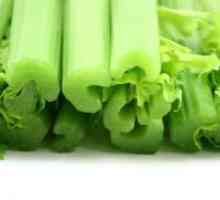 Celer - ljekovita svojstva za mršavljenje