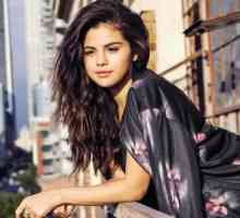 Selena Gomez je trudna?