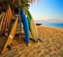 Surf Camp u Bali