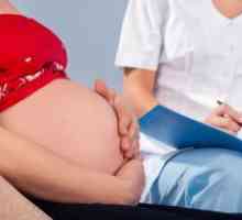 Cerviks u trudnoći - norma za nekoliko tjedana