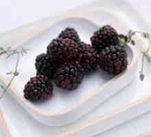 Mulberry - koristi i štete