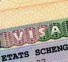 Schengen viza za 5 godina