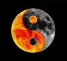 Simbol yin-yang