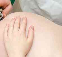 Screening u trudnoći