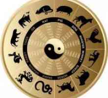 Kompatibilnost horoskopskih znakova po godinama