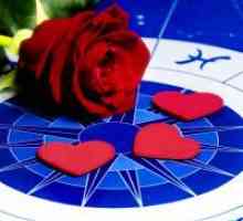 Kompatibilnost znakova zodijaka u ljubavi