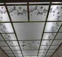 Moderni stropovi