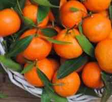 Da li mandarine promicanje mršavljenja?