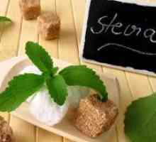 Stevia - koristi i štete