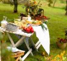 Piknik stol