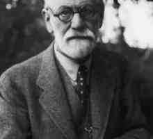 Struktura psihe prema Freud