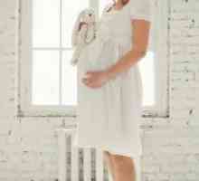 Vjenčanice za trudnice 2014