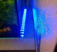 LED strip svjetlo za akvarij