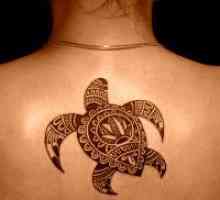 Kornjača tetovaža - vrijednost