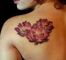 Lotus Tattoo - vrijednost