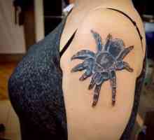 Spider tetovaža - vrijednost