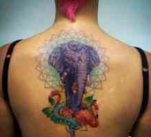 Slon Tattoo - vrijednost