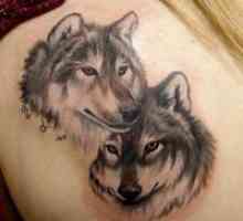 Wolf tetovaža - vrijednost