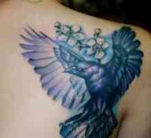 Tattoo Raven - vrijednost