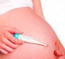 Temperatura u trudnoći i uzrokuje povećanje