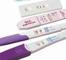 Test na trudnoću u ranoj trudnoći