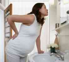 Toksemija u trudnoći (kasno trovanje)