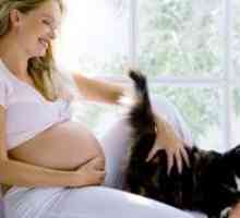 Toksoplazmoza u trudnoći