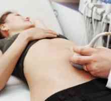 Transabdominalnu prsni ultrazvuk kod žena