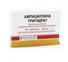 Ampicilin trihidrat