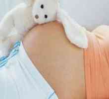 Tromjesečja trudnoće - Uvjeti