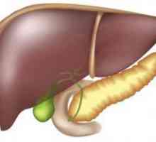 Uvećana jetre - uzroci, liječenje i prehrana