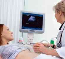 Ultrazvuk abdomena - kako se pripremiti?