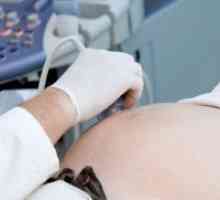 Ultrazvuk bubrega u trudnoći