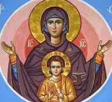 Ono što čini ikonu „znak” Blažene Djevice?