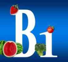 Koje namirnice sadrže vitamin B1?