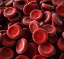 Spuštenom eritrociti u krvi