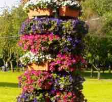 Vertikalni ležaja - neobične ideje za vrt