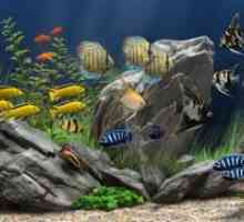 Vrste akvarijske ribe