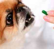 Vitamini za pse „canina”