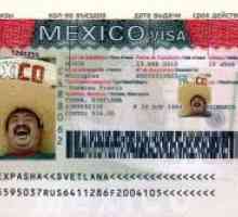Visa u Meksiko za Ruse