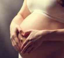 Vodeni iscjedak u trudnoći
