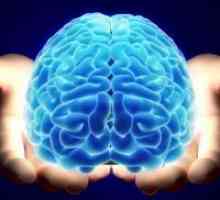Mogućnosti ljudskog mozga