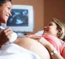 Šteta ultrazvuk u trudnoći