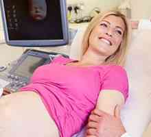 Da li ultrazvuk štetan u trudnoći