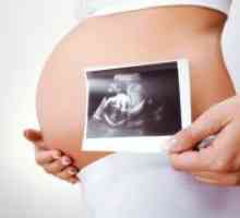 Štetno ako se ultrazvukom tijekom trudnoće?