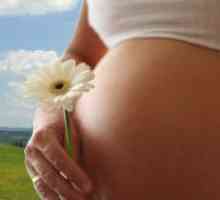 Visoka progesterona tijekom trudnoće