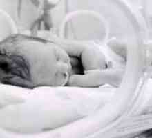 IVH u novorođenčadi