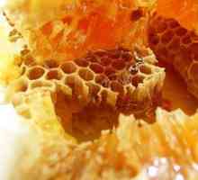 Zabrus pčela, struktura, korist i štetu, korištenje