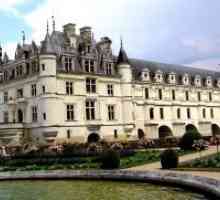 Dvorci Loire - Francuska