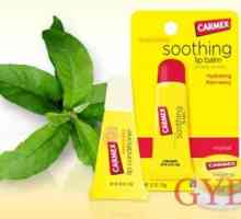 Zaštita osjetljiva usne kože balzam carmex